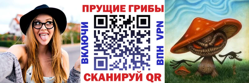 гидра зеркало  это клад  Псилоцибиновые грибы ЛСД  Меленки 